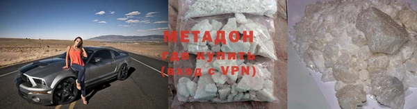 индика Новодвинск